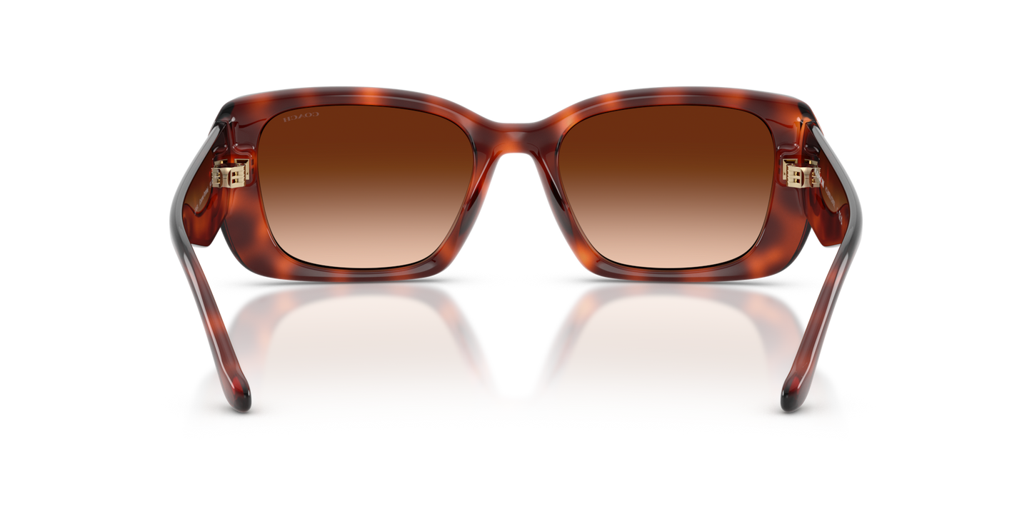 Coach HC8435U CBY82 Square Sunglasses - Caramel Tortoise