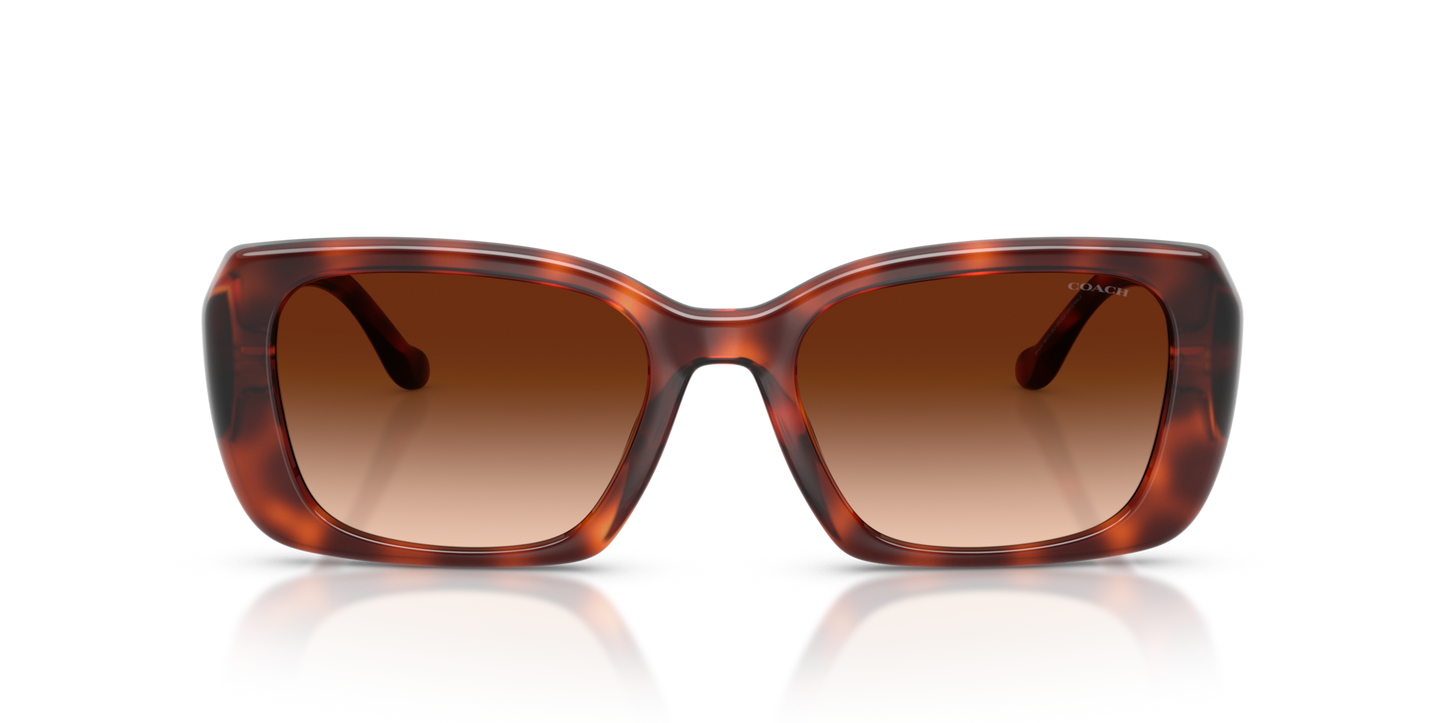 Coach HC8435U CBY82 Square Sunglasses - Caramel Tortoise