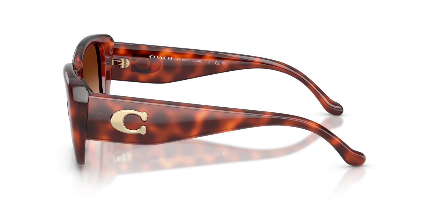 Coach HC8435U CBY82 Square Sunglasses - Caramel Tortoise