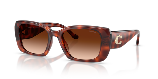 Coach HC8435U CBY82 Square Sunglasses - Caramel Tortoise