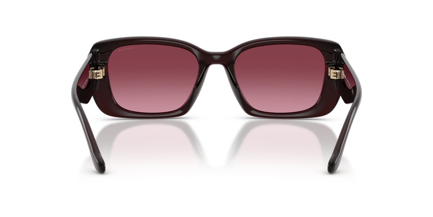 Coach HC8435U CBY82 Square Sunglasses - Caramel Tortoise