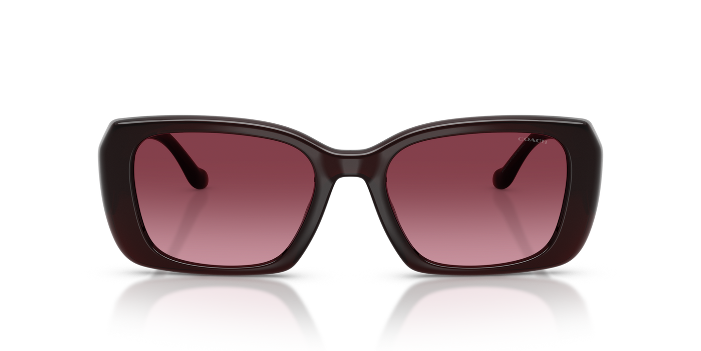 Coach HC8435U CBY82 Square Sunglasses - Caramel Tortoise