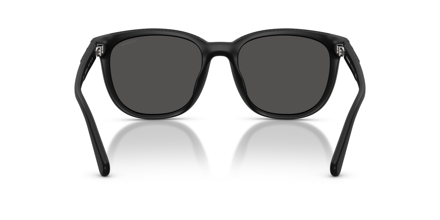 Coach HC8442U CCA00 Square Sunglasses - Matte Transparent Brown