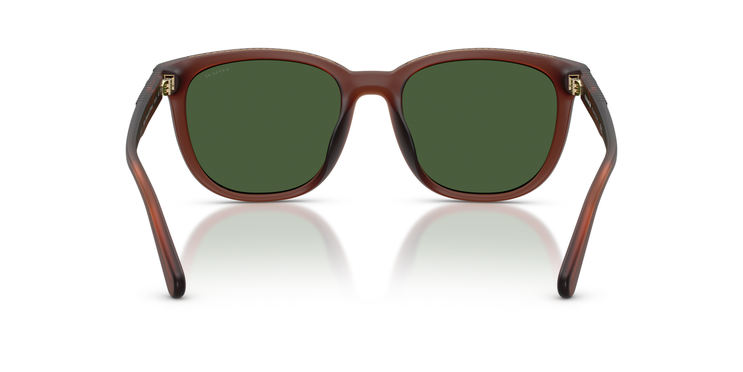 Coach HC8442U CCA00 Square Sunglasses - Matte Transparent Brown