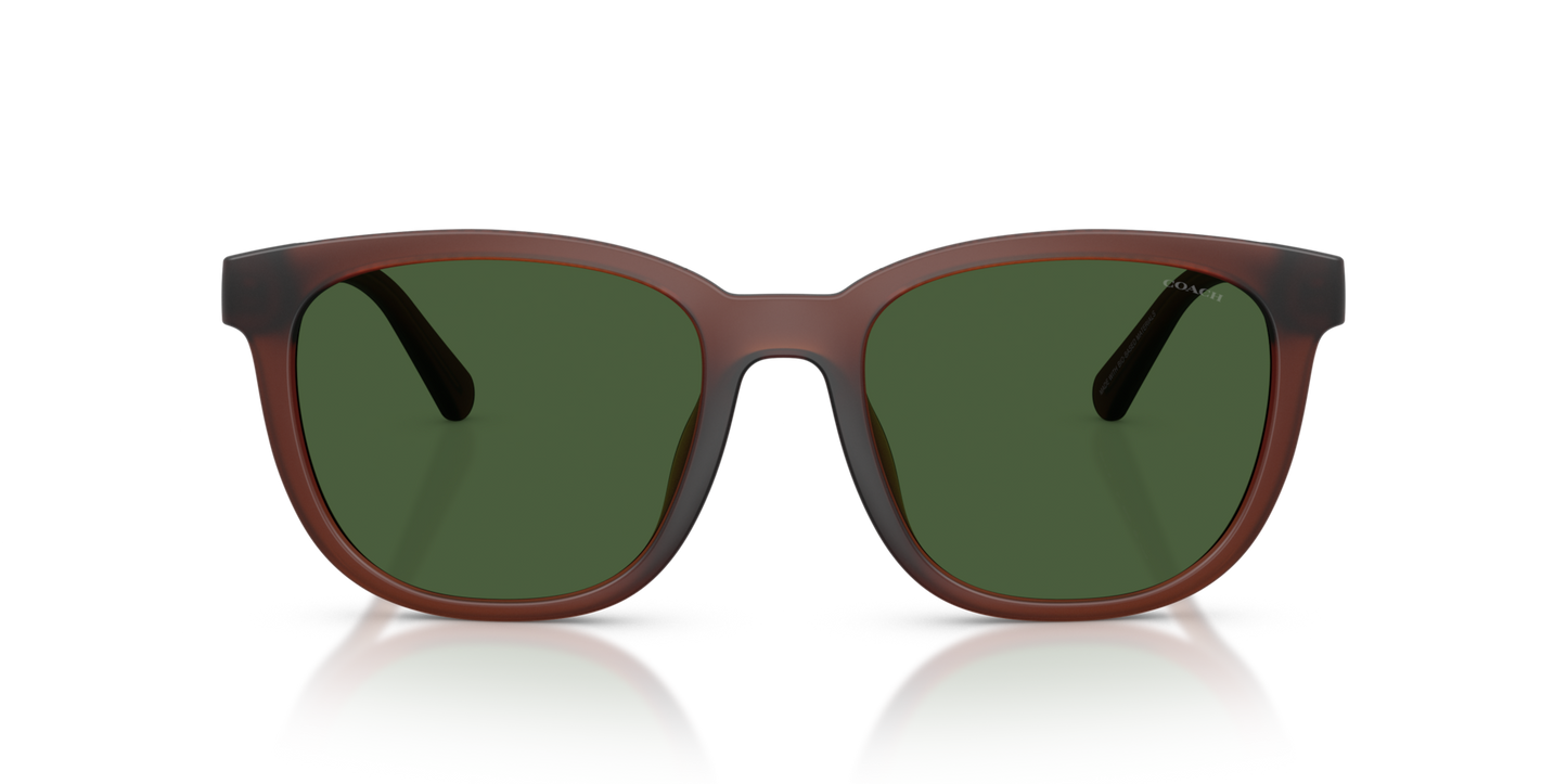 Coach HC8442U CCA00 Square Sunglasses - Matte Transparent Brown