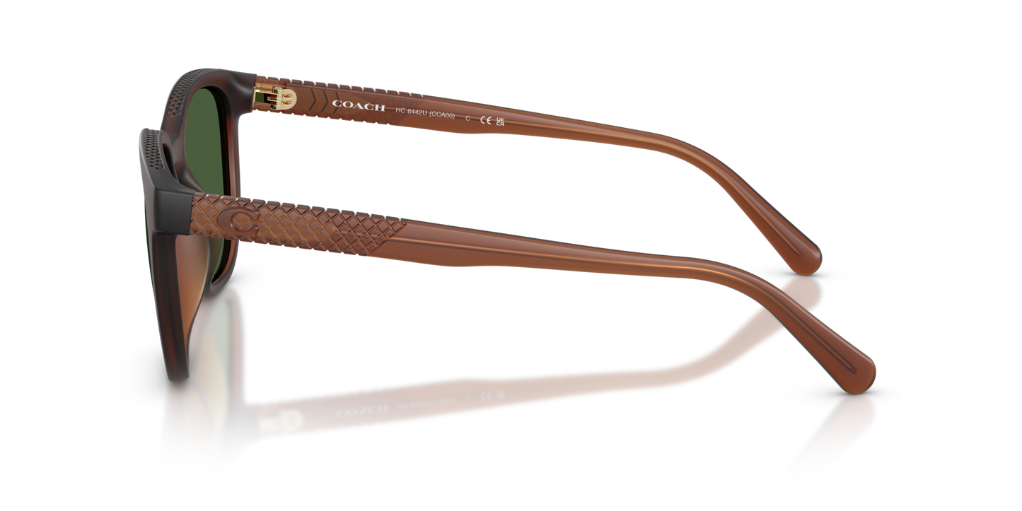 Coach HC8442U CCA00 Square Sunglasses - Matte Transparent Brown
