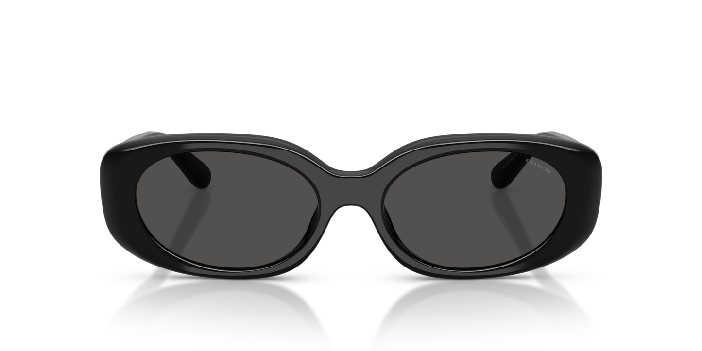 Coach HC8443D CBY84 Oval Sunglasses - Milky Cloud