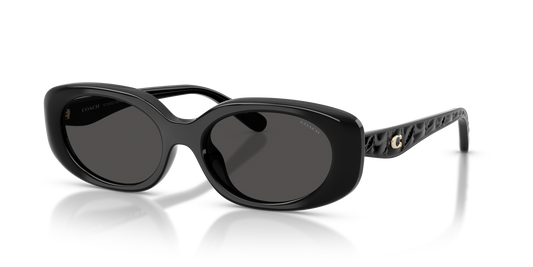 Coach HC8443D CBY84 Oval Sunglasses - Black