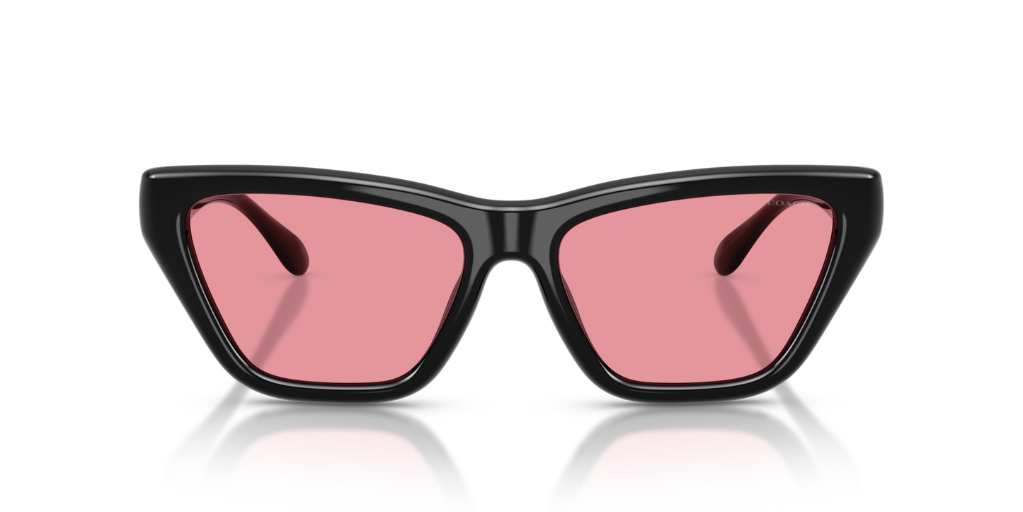 Coach HC8449U CDP33 Cat Eye Sunglasses - Caramel Tortoise