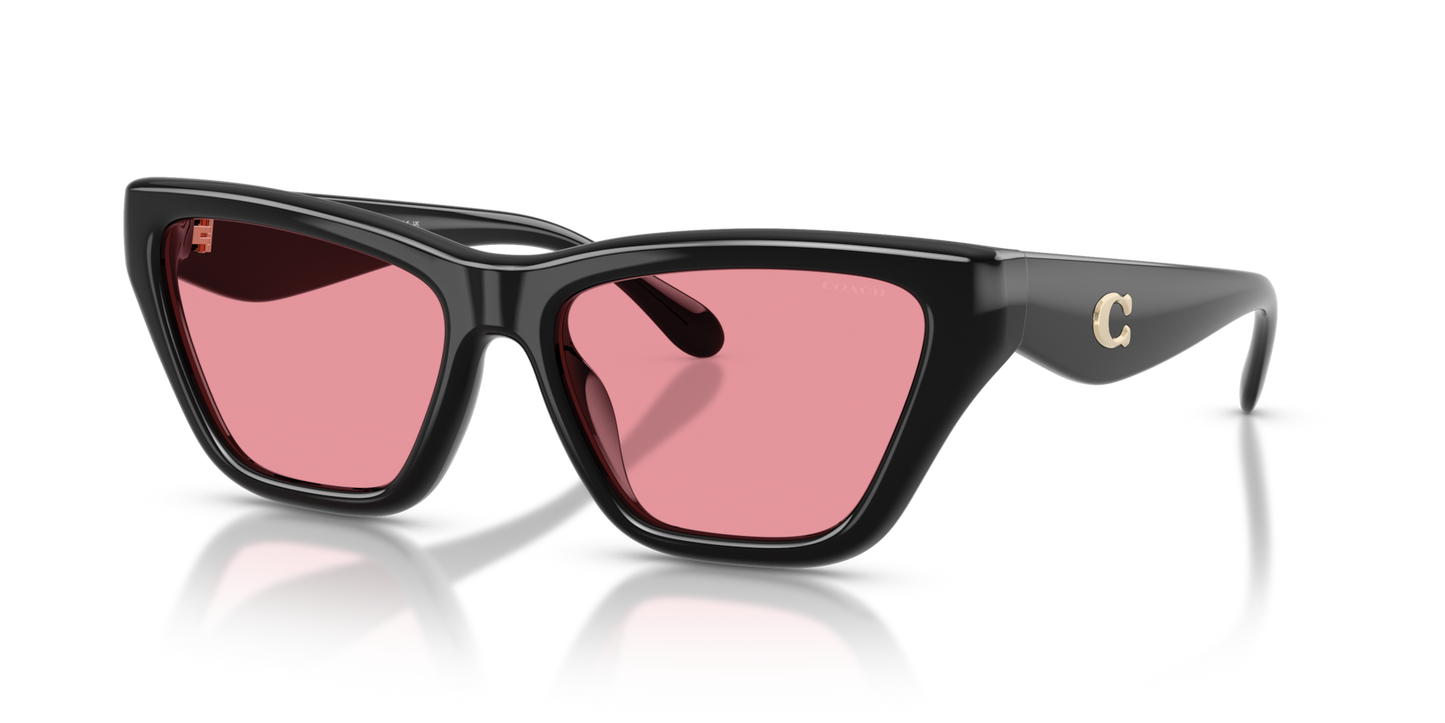 Coach HC8449U CDP33 Cat Eye Sunglasses - Black
