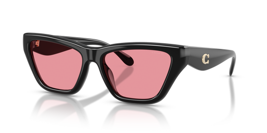 Coach HC8449U CDP33 Cat Eye Sunglasses - Black