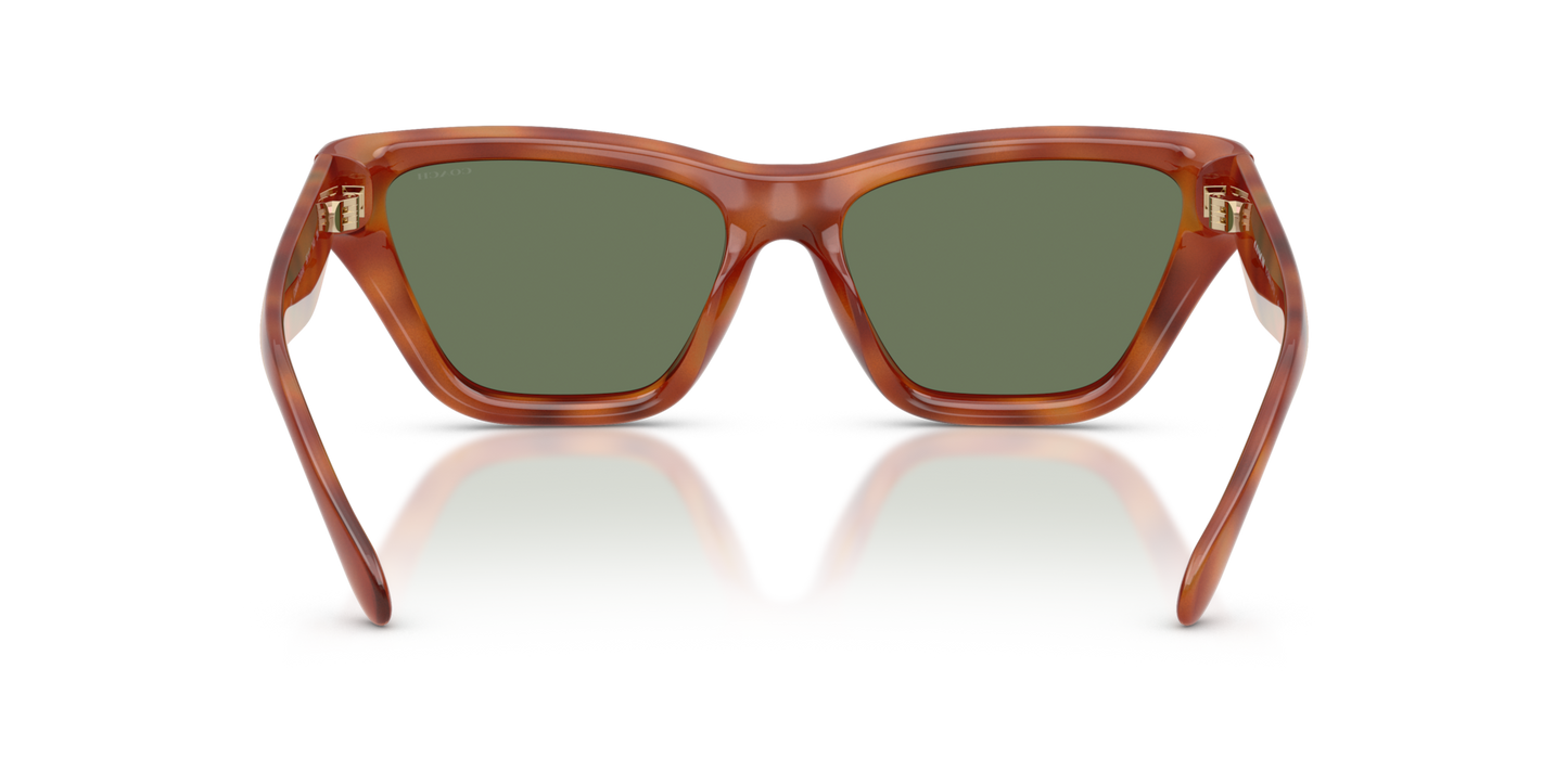 Coach HC8449U CDP33 Cat Eye Sunglasses - Caramel Tortoise