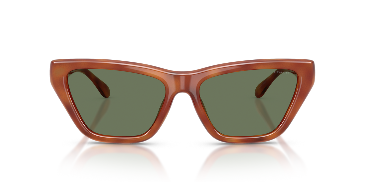 Coach HC8449U CDP33 Cat Eye Sunglasses - Black