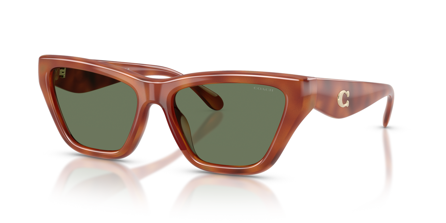 Coach HC8449U CDP33 Cat Eye Sunglasses - Black