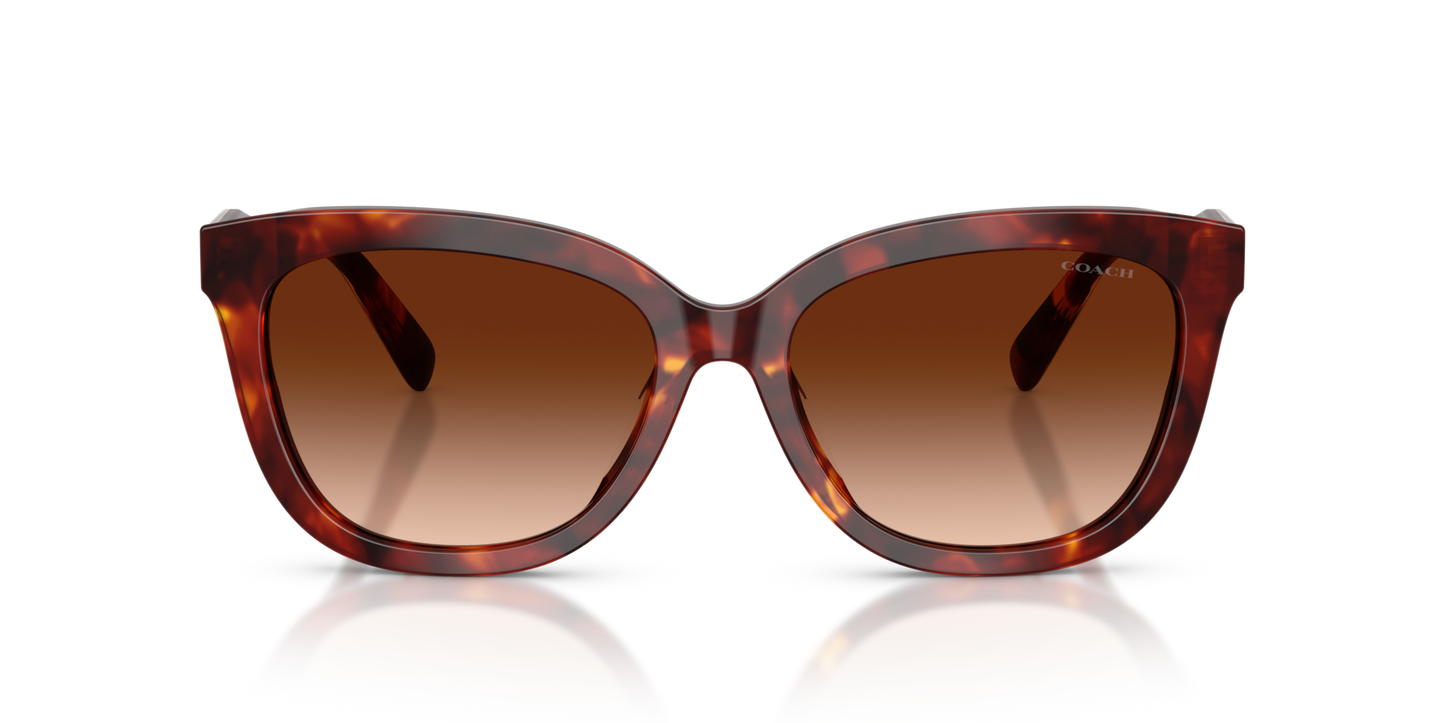 Coach HC8453U CDP53 Square Sunglasses - Walnut Tortoise