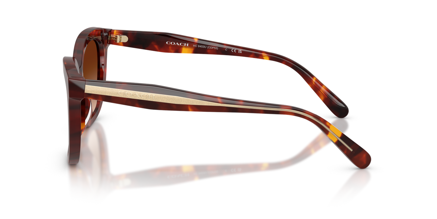 Coach HC8453U CDP53 Square Sunglasses - Walnut Tortoise