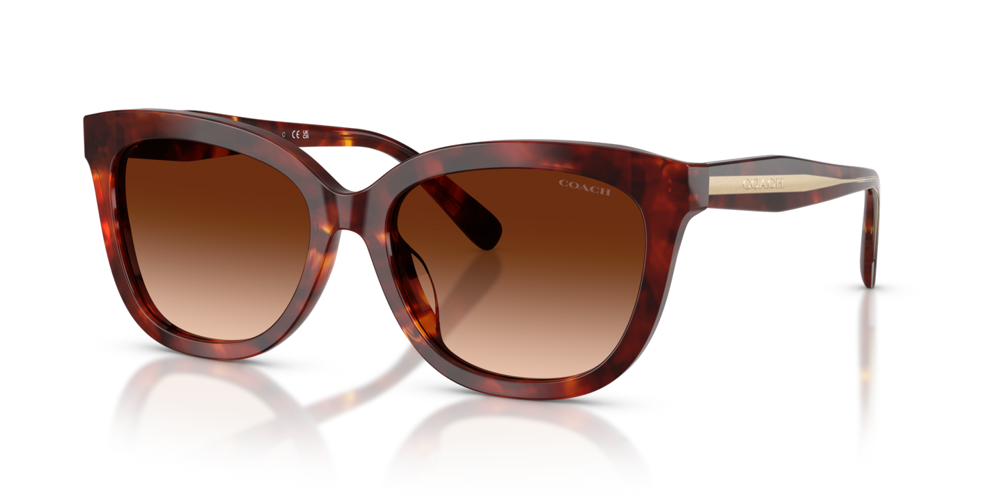 Coach HC8453U CDP53 Square Sunglasses - Purple Cosmo Tortoise