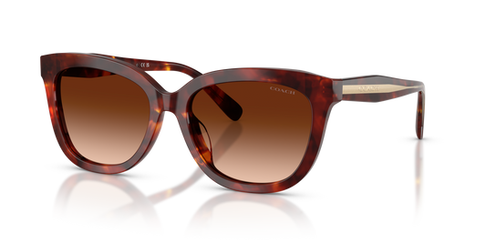 Coach HC8453U CDP53 Square Sunglasses - Walnut Tortoise