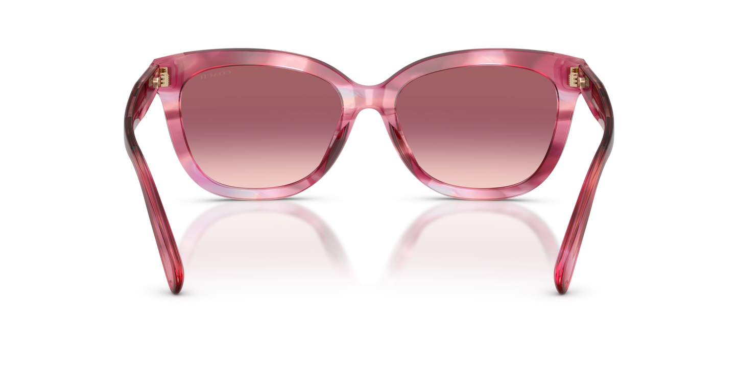 Coach HC8453U CDP53 Square Sunglasses - Walnut Tortoise