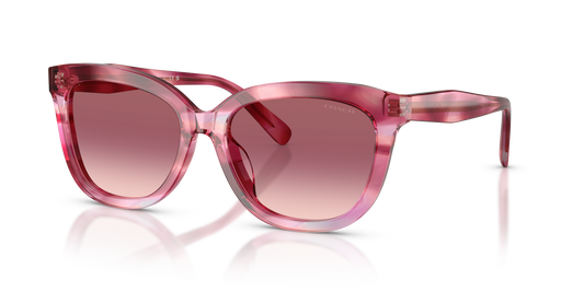 Coach HC8453U CDP53 Square Sunglasses - Purple Cosmo Tortoise
