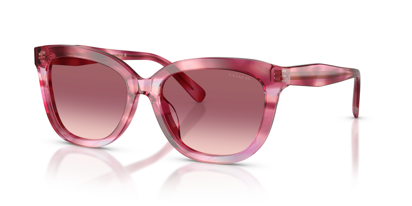 Coach HC8453U CDP53 Square Sunglasses - Walnut Tortoise